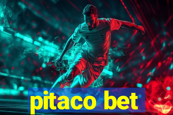 pitaco bet