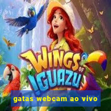 gatas webcam ao vivo