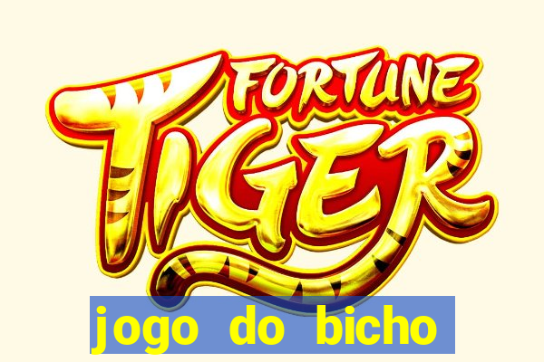 jogo do bicho crash bingo