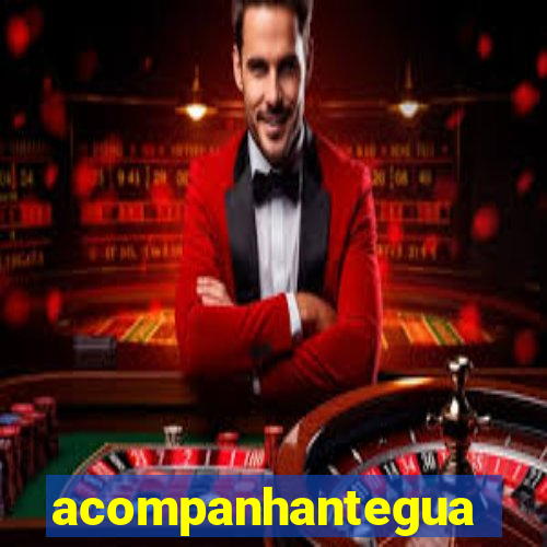 acompanhanteguanambi