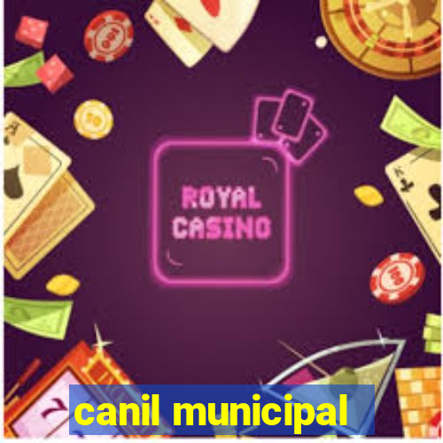 canil municipal