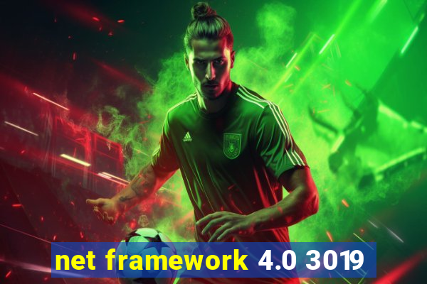 net framework 4.0 3019