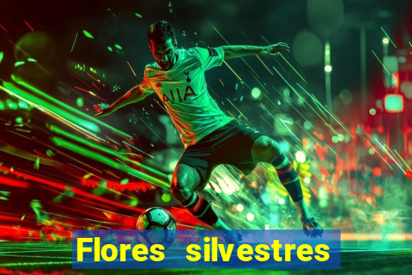 Flores silvestres brasileiras 25