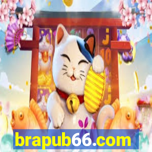 brapub66.com