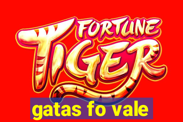 gatas fo vale